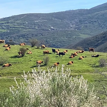 La Casita de Chocolate - Encanto Rural en Espinoso de Compludo - El Bierzo-3